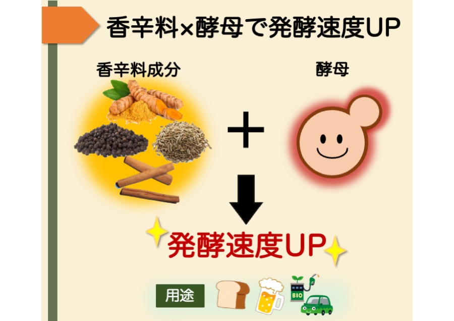 香辛料成分による酵母の発酵促進技術