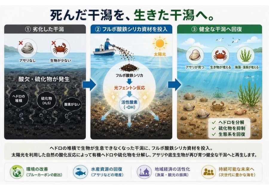 フルボ酸鉄シリカで干潟の鉄・硫黄循環を再起動する