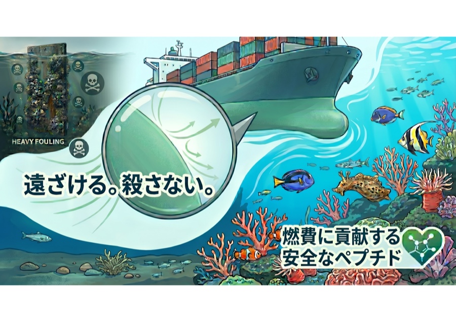 長年のトレードオフ解消を目指す船底防汚ペプチド