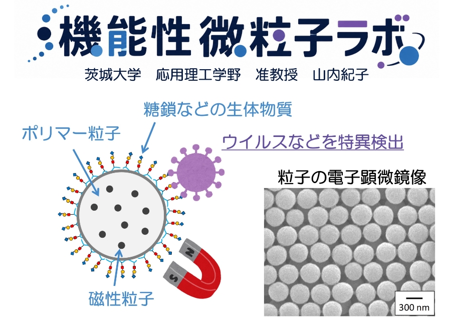 機能性微粒子の精密デザインによる次世代医療の実現