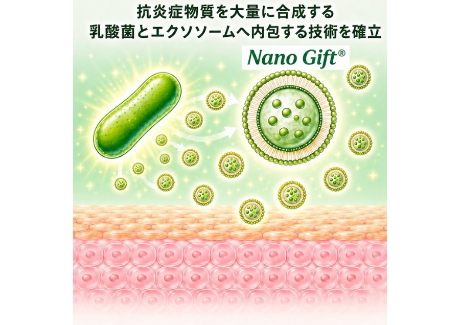 アトピー性皮膚炎を改善する乳酸菌エクソソーム