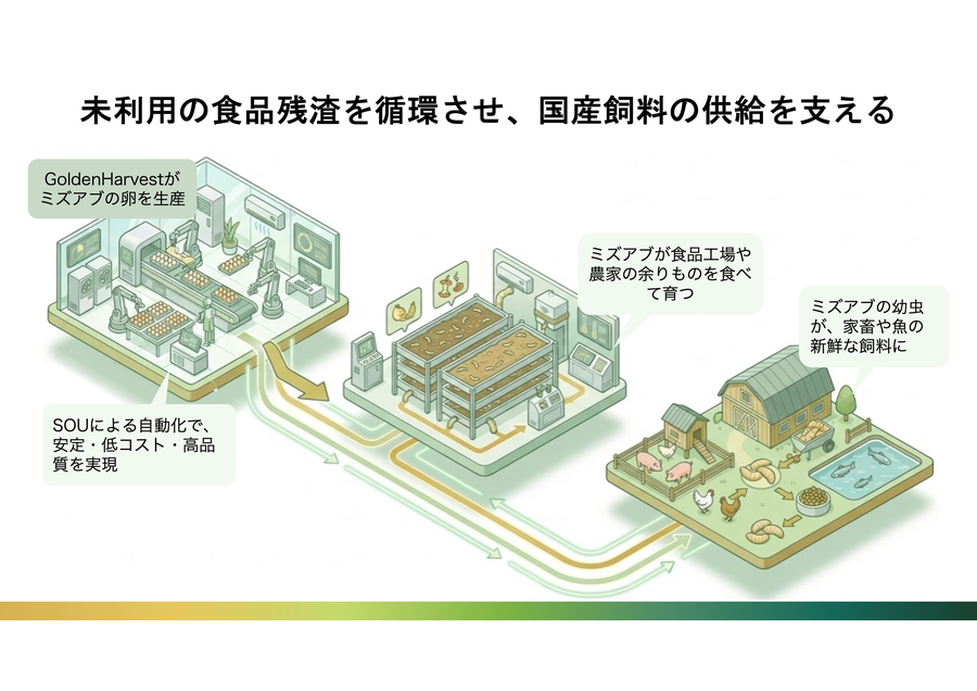 有機廃棄物を国産タンパクに変えるミズアブ基盤