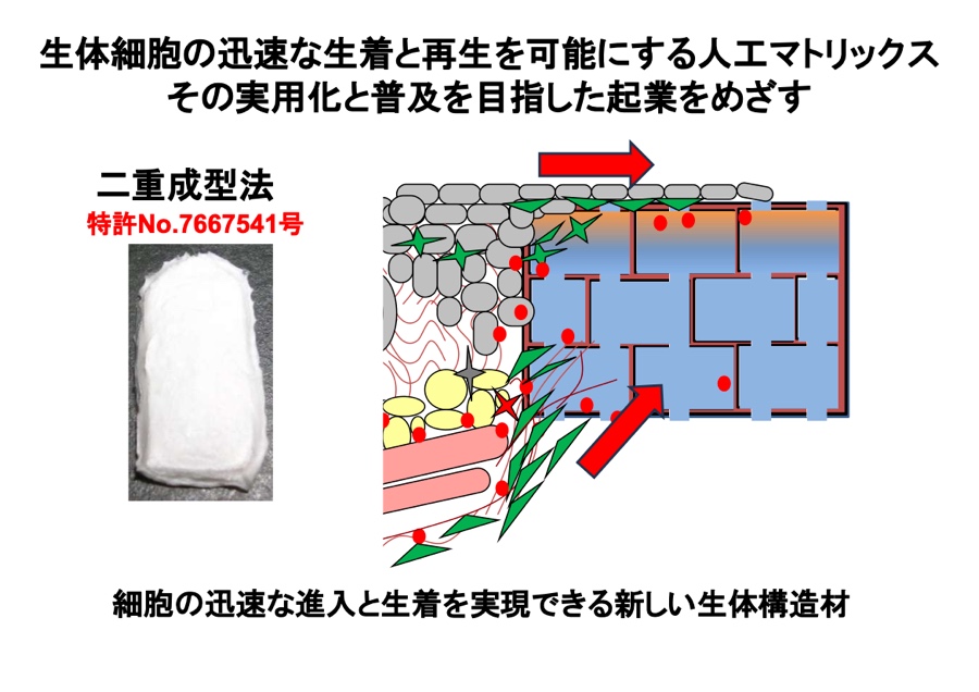 人工構造体を用いたマトリックスベースの再生医療