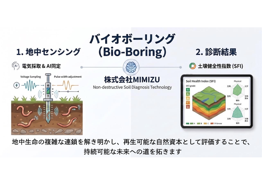 バイオ・ボーリング技術で土壌を可視化