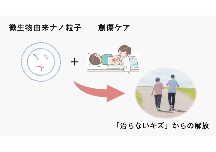 微生物由来ナノ粒子で免疫を強化する次世代創傷ケア