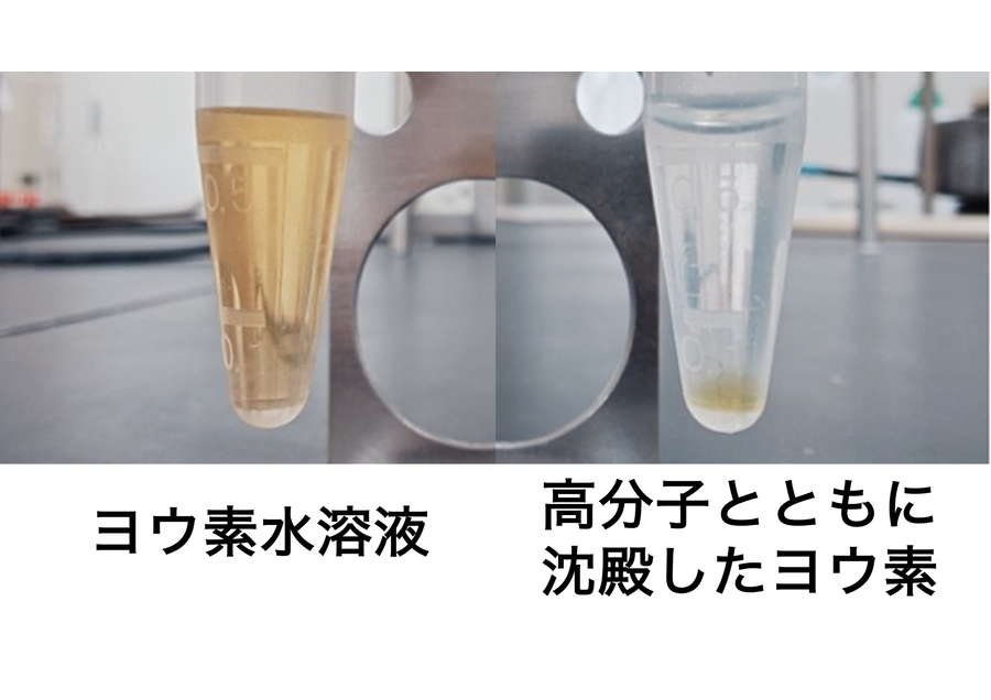 温度応答性高分子による資源回収インフラ
