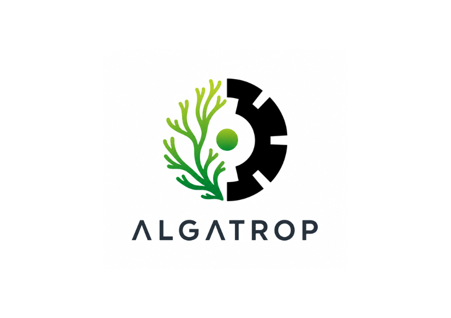 Production of agricultural biostimulants from tropical seaweed
